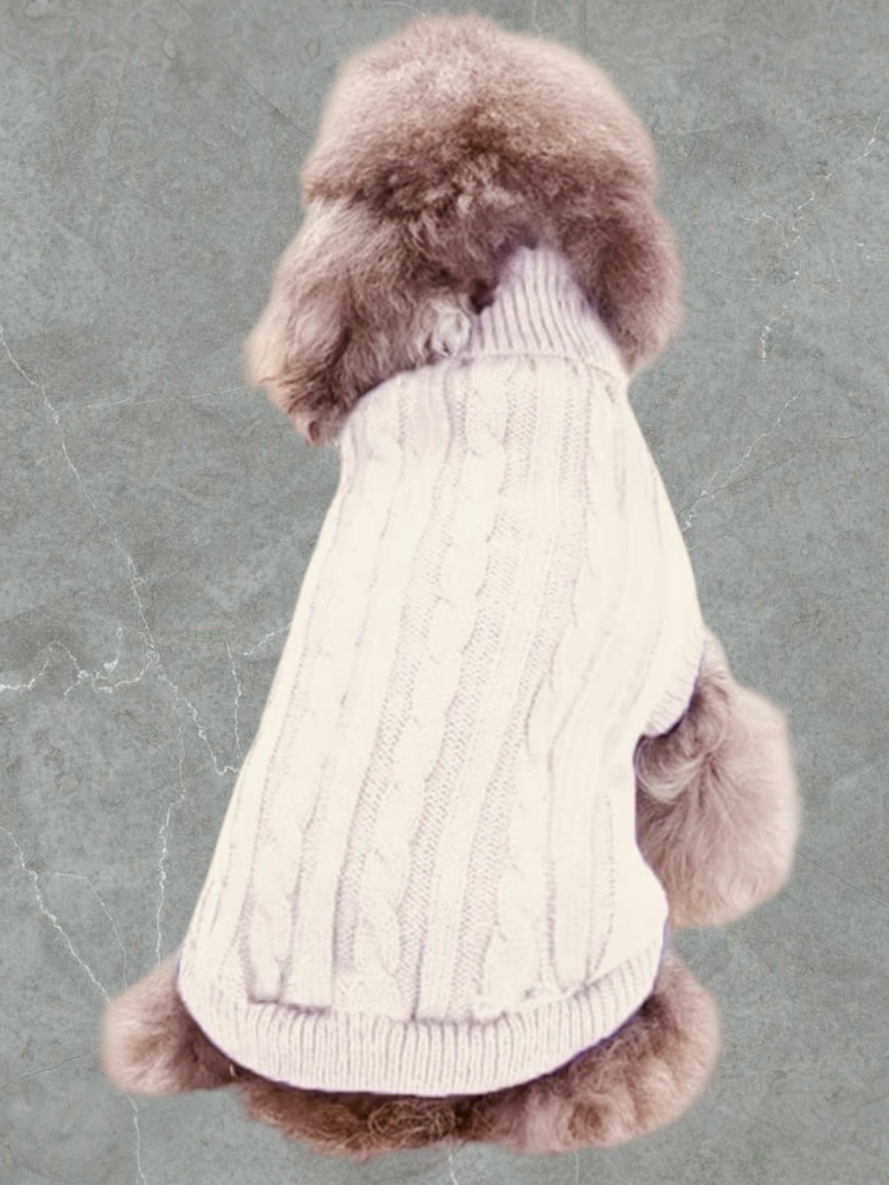 $8 Add-on | Cotton Blend Knit Small Pet Sweater